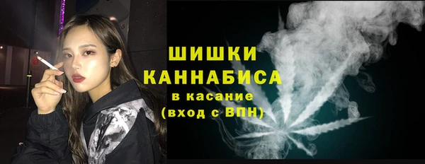 прущие грибы Абдулино