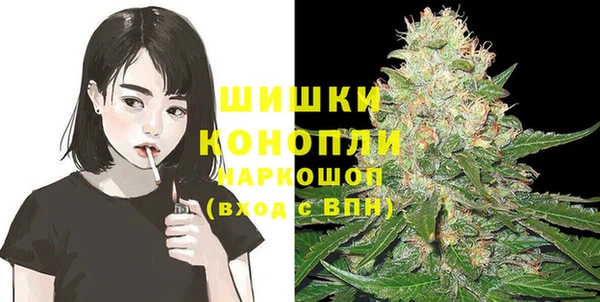 прущие грибы Абдулино