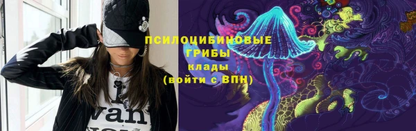 прущие грибы Абдулино