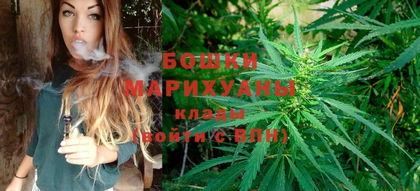 прущие грибы Абдулино