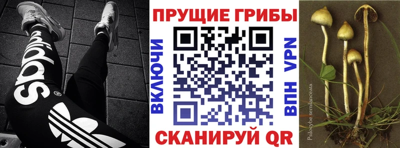 Галлюциногенные грибы Magic Shrooms  мега tor  Батайск  где можно купить наркотик 