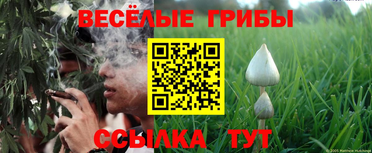 Батайск  Галлюциногенные грибы ЛСД  Вход с VPN  Галлюциногенные грибы прущие грибы 